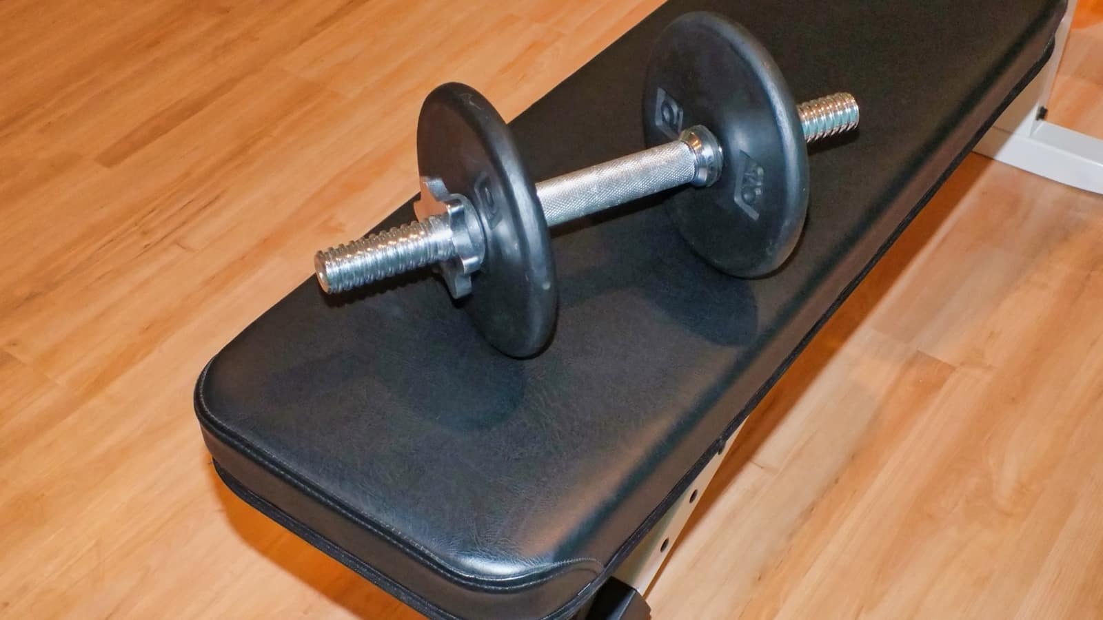 Los mejores bancos de pesas para entrenar la fuerza en casa